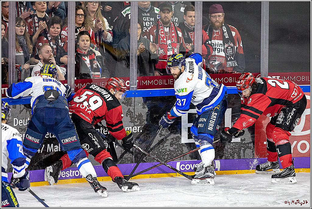 DEL-Playoff; Koelner Haie - ERC Ingolstadt, 17.03.2019
